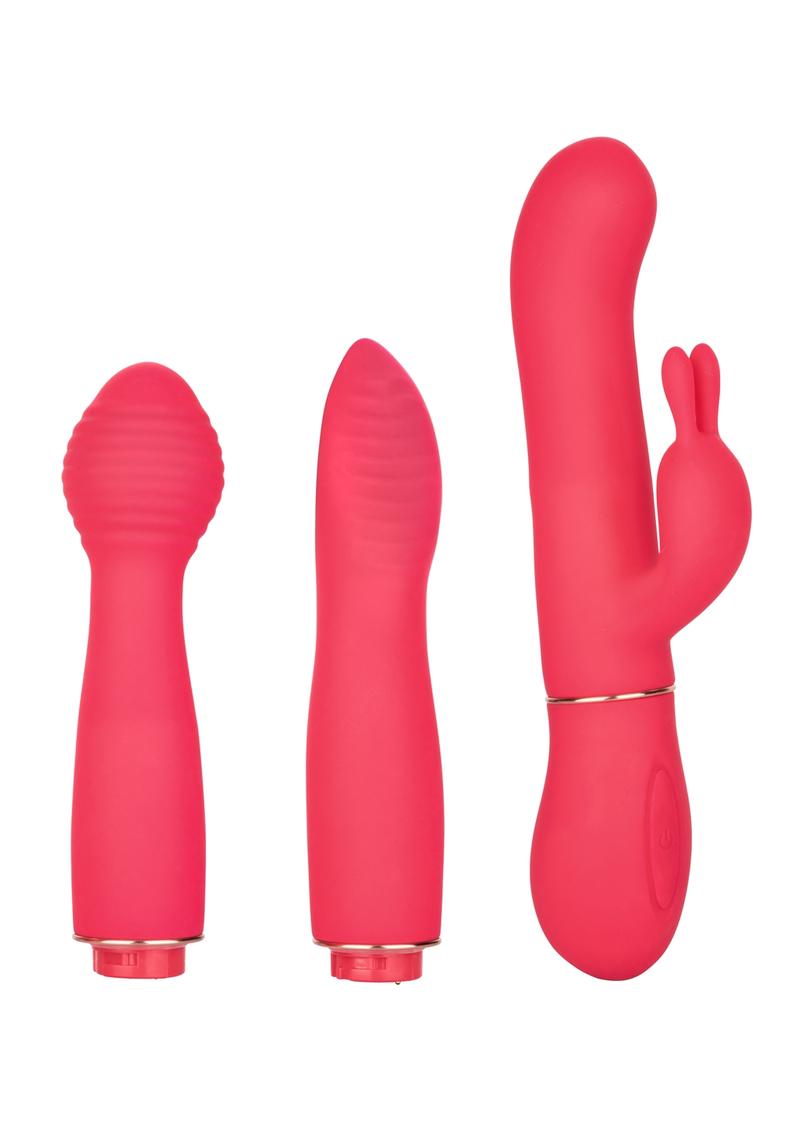 In Touch Dynamic Trio Multi-Head Interchangeable Massager Silicone Waterproof Set Pink