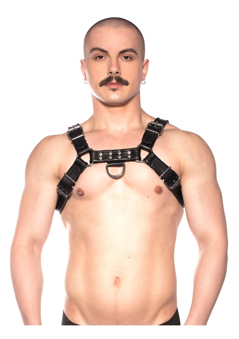 Prowler Red Bull Harness Black Md