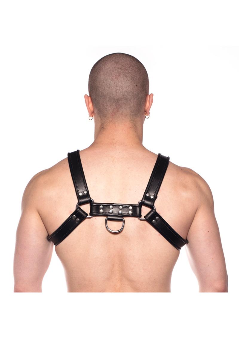 Prowler Red Bull Harness Black Md