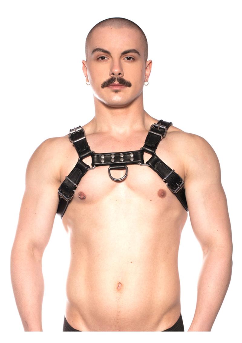 Prowler Red Bull Harness Black Sm