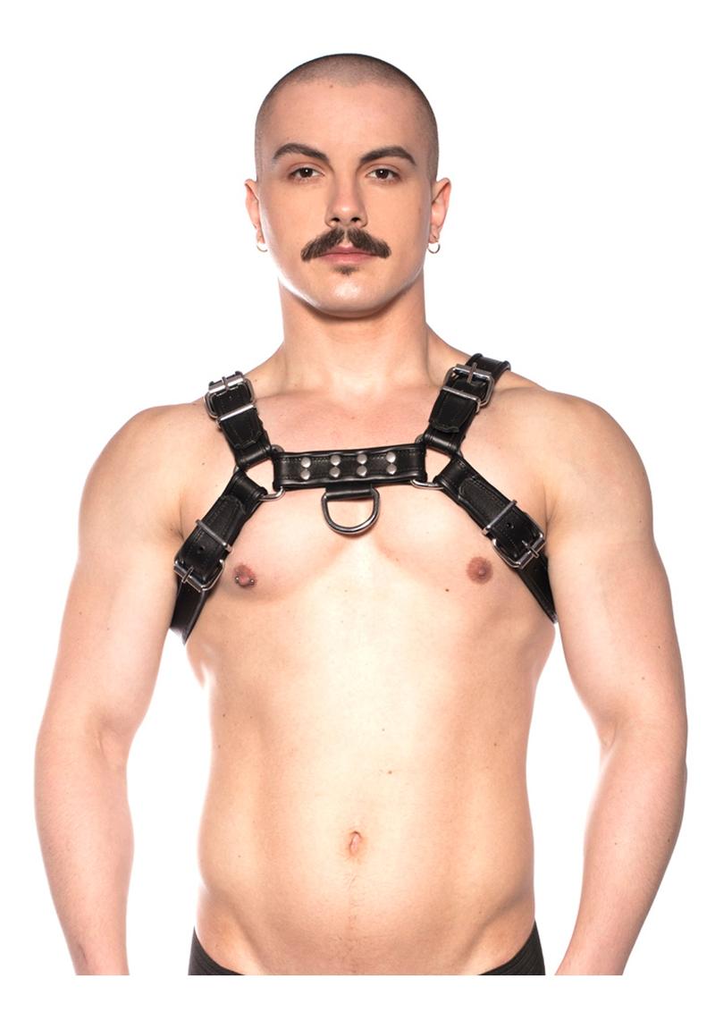 Prowler Red Bull Harness Black Xlarge