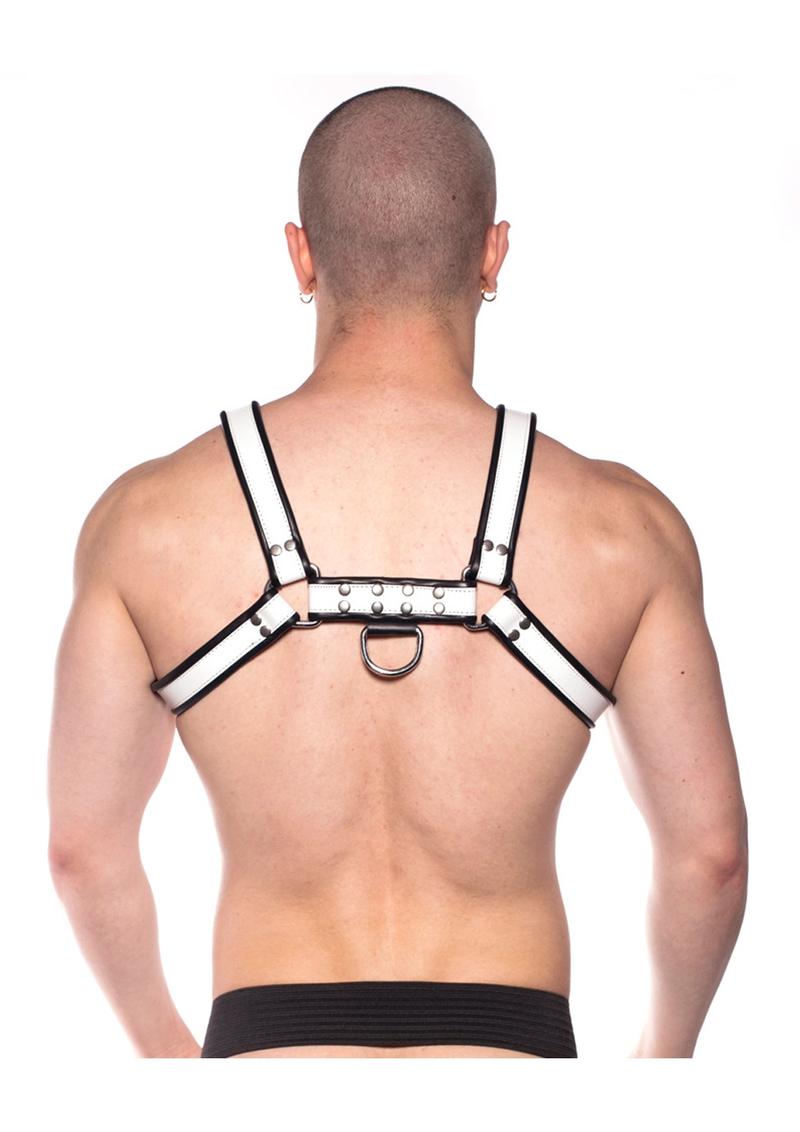 Prowler Red Bull Harness Blk/wht Xl
